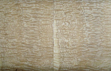 スライスされた切口の自然な節玉の木製のベニヤ、装飾のための灰の木製のベニヤ