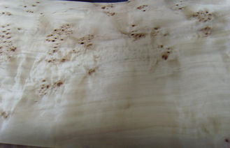 自然な節玉の家具の AA/A/AB の等級を持つ木製のベニヤのポプラ