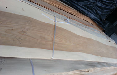 天井板は Birchwood のベニヤの王冠によって切られる板目を滑らかにします