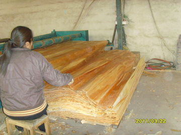 白/ブラウンのシラカバの回転式切口の木製のベニヤ、キルトにされたかえでのベニヤ