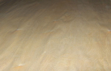 白/ブラウンのシラカバの回転式切口の木製のベニヤ、キルトにされたかえでのベニヤ