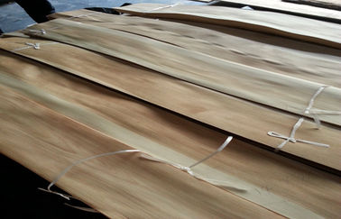 設計される Chipboard によってスライスされる切口の自然なシラカバ 2 色の木製のベニヤ