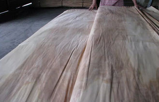 性質の回転式切口のシラカバのベニヤ シート A の等級、自然な木製のベニヤ