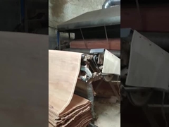 天然木PLBロータリーカット単板シート