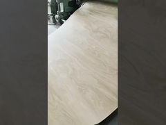 ロータリーカットビッチ・ファニヤ