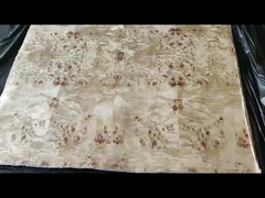 ポップラー・バール・ファニヤ A級