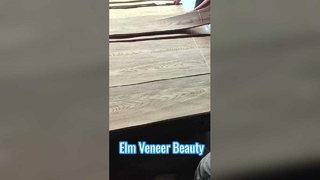 エルムクラウンカット突板