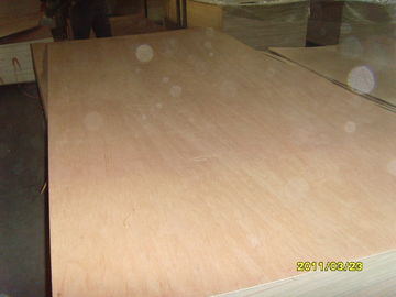 家具および合板のための黄色い Okoume の回転式切口のベニヤ