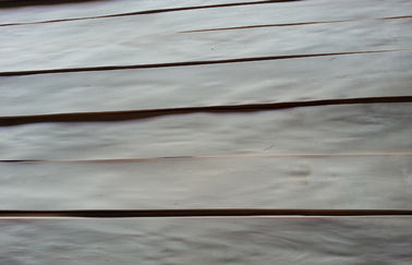王冠の切口の穀物が付いている装飾的で自然なシラカバのベニヤの合板