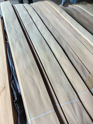 高品質 ロシア オルム 四分の一切断 フリーチャーシート 家具用