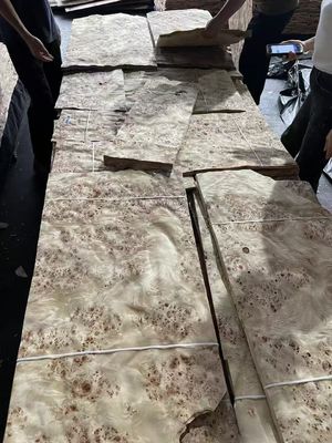 高品質のマッパ・バール・フェニエールシート 家具装飾用