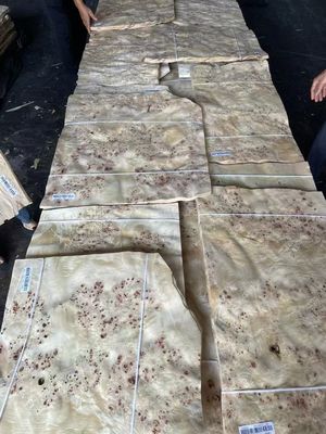 高品質のマッパ・バール・フェニエールシート 家具装飾用