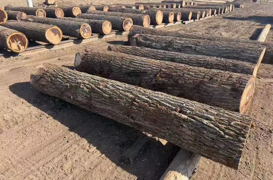 オーク・ブリーナー・シート クラウン・グレーン・パターン 0.2-0.6mm 厚さ,1220mm 幅まで 家具や装飾用