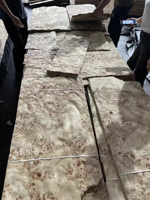 0.5mm Thickness Sliced Cut Mappa Burl Wood Veneer Sheets for Hotel Decoration