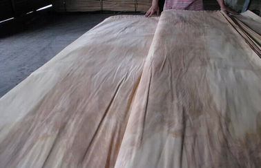 性質の回転式切口のシラカバのベニヤ シート A の等級、自然な木製のベニヤ