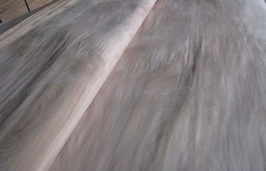 自然な回転式切口のシラカバの切断の木製のベニヤ家具のための等級